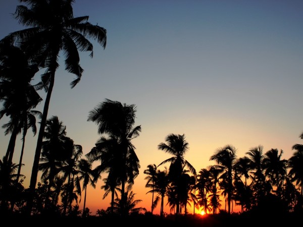 Girovagare tra le spiagge e i villaggi di Tofo