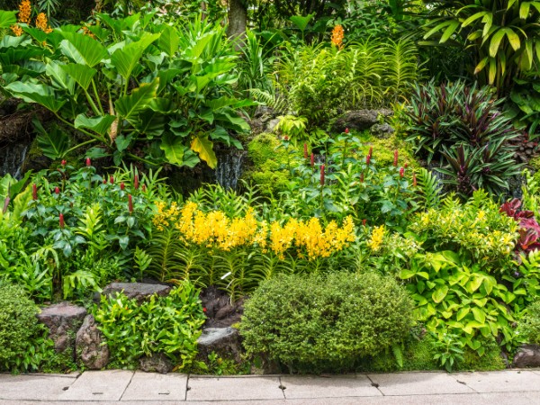 Giardini Botanici | Singapore Viaggio