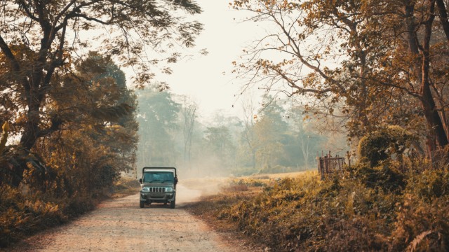 Chitwan NP | Itinerario Nepal