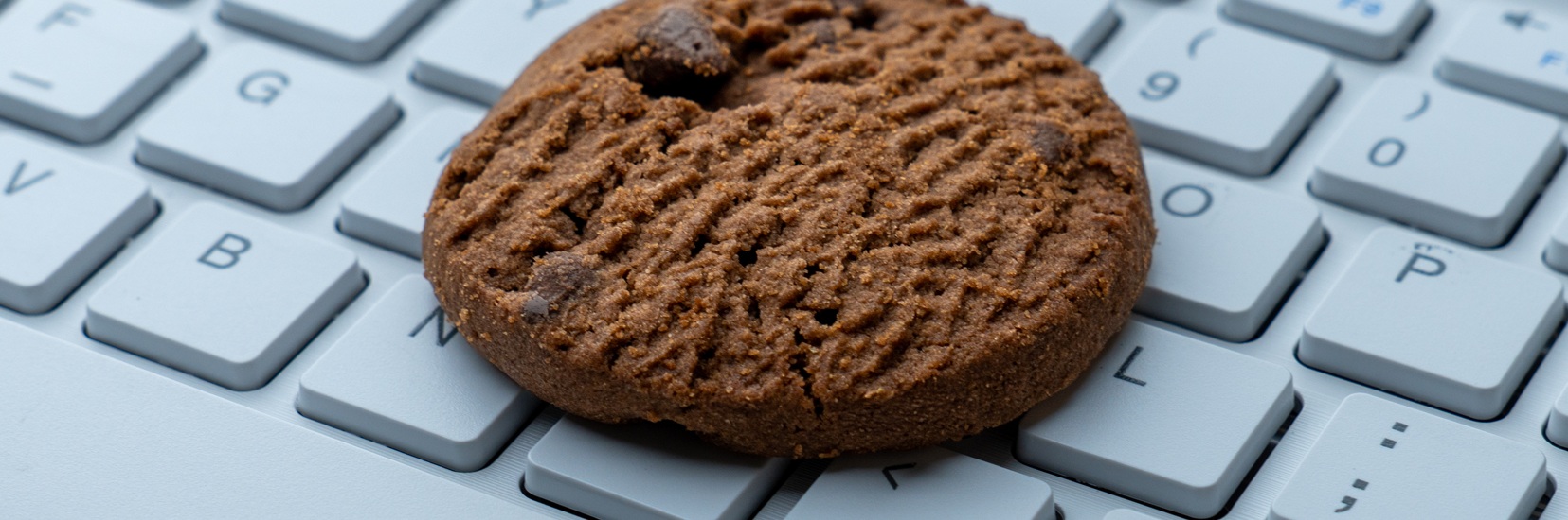 Cookie Policy | Viaggigiovani.it