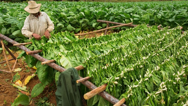 Vinales | Viaggio a Cuba Fai Da Te
