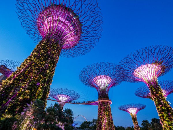 Gardens By The Bay | Singapore Viaggio