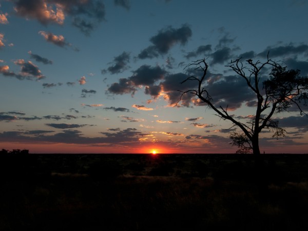 Tramonto nel Kalahari | Botswana Viaggio