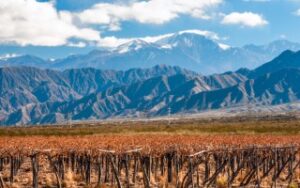 I vigneti di Mendoza | Viaggiare in Argentina