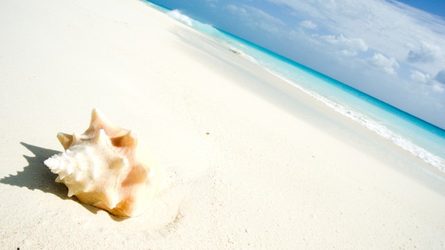 Cayo Largo | Viaggio di Nozze Cuba