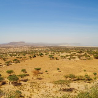 Rift Valley