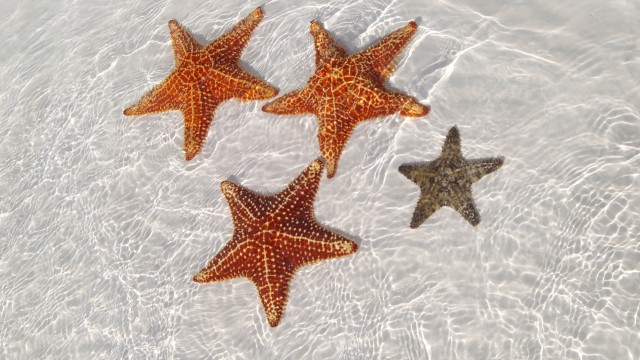 Playa Giron | Viaggio a Cuba Fai Da Te