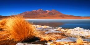 Lagune colorate | Viaggiare in Bolivia