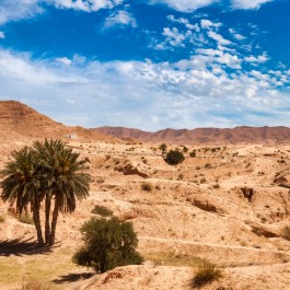 Tozeur nel Deserto del Sahara | Viaggiare in Tunisia