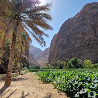 Wadi Shab e Wadi Bani Khalid
