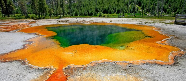 Yellowstone e i parchi americani del nord | viaggio yellowstone