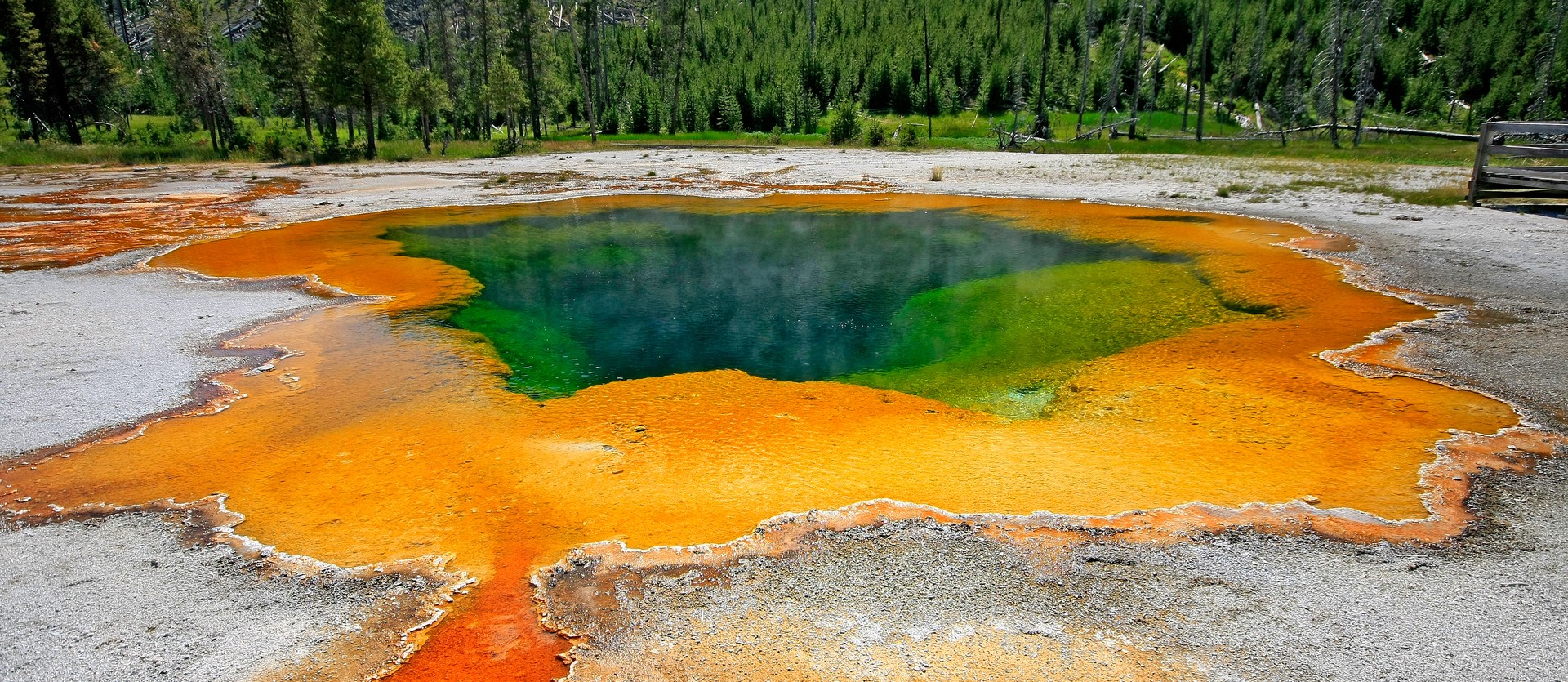 Yellowstone e i parchi americani del nord | viaggio yellowstone