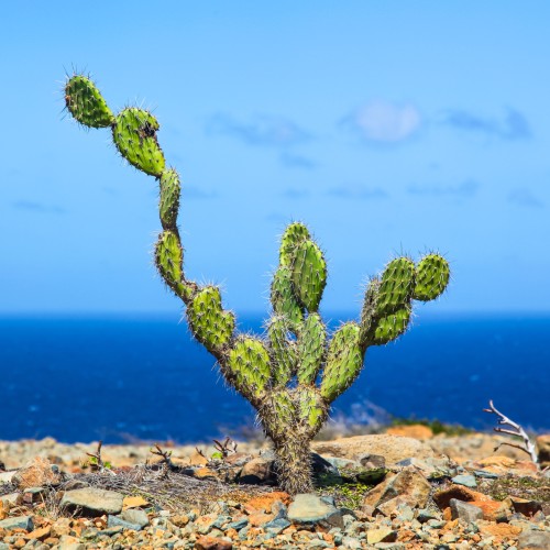 Arikok National Park | Viaggiare alle Isole Cook