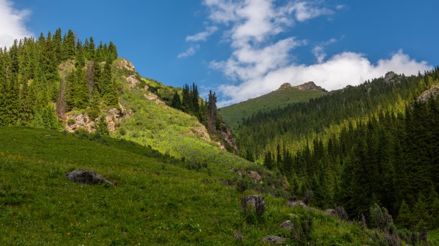 Bayankol Gorge | Tour Kazakistan e Cina