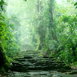 Ciudad Perdida | Viaggiare in Colombia