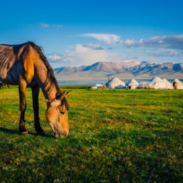 Song Kul Lake | Viaggiare in Kirghizistan
