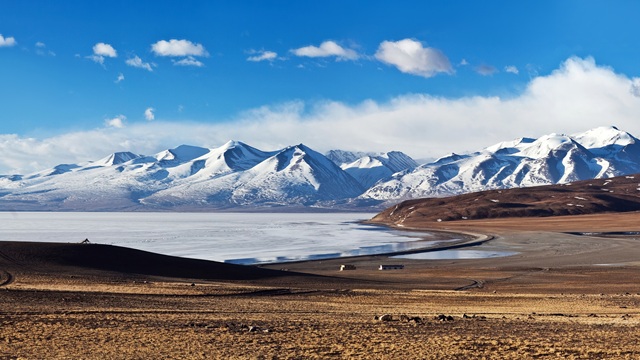 Lago Manasarovar | Tour Tibet