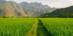 Mai Chau | Viaggiare in Vietnam