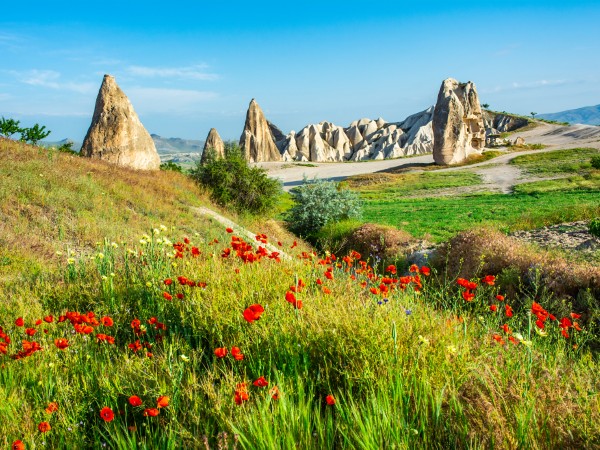 Sfrecciare in Jeep 4x4 tra le vallate della Cappadocia