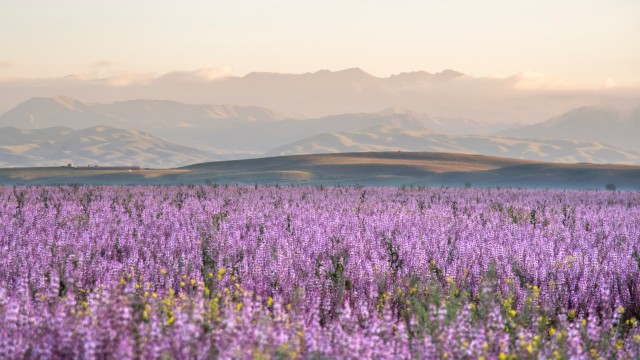Nei pressi di Yining | Tour Kazakistan e Cina