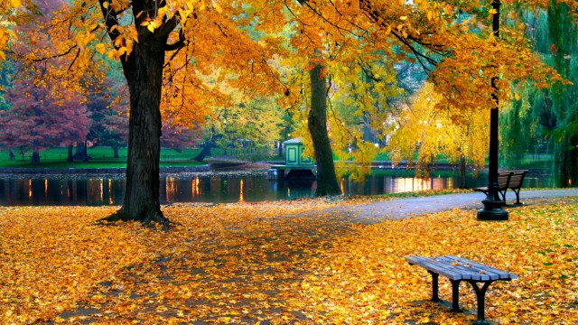 Public Garden | East Coast Usa