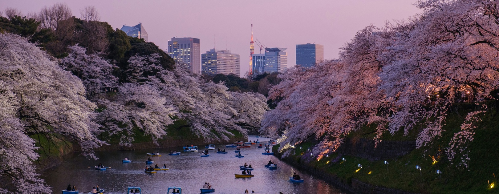 Viaggio in Giappone, fascino d'oriente