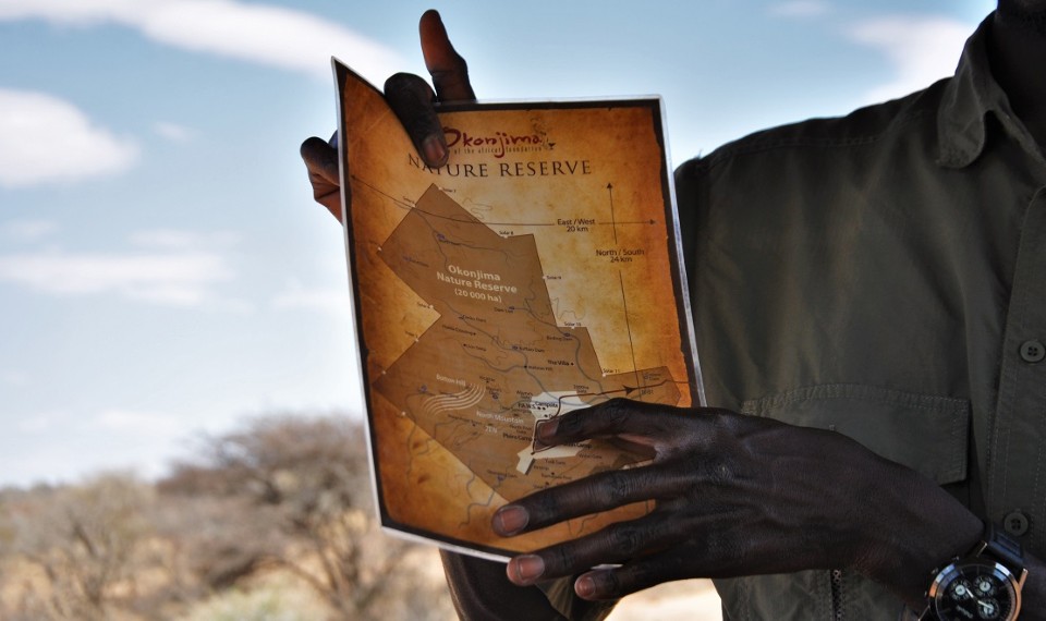 The AfriCat Foundation, Mappa