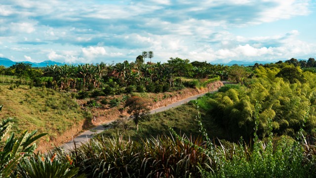 Paesaggi della regione del Quindio | Tour Colombia
