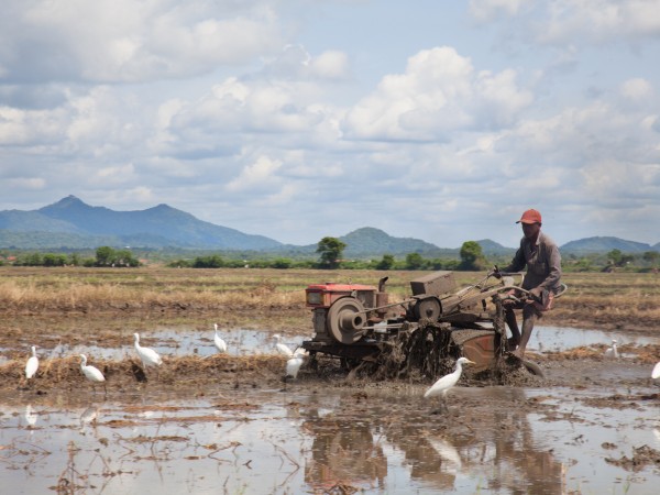 Una giornata da contadini tra villaggi, canoe e trattori