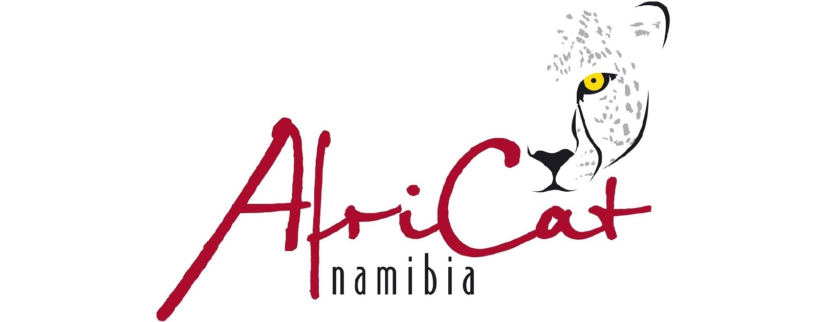 The AfriCat Foundation