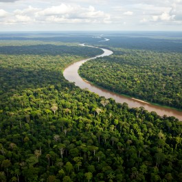 Amazzonia | Viaggiare in Brasile