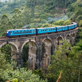 Treno sul Nine Arch Bridge a Ella | Viaggiare in Sri Lanka