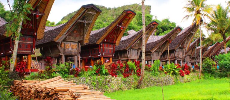 Kalimantan e Sulawesi | Itinerario Indonesia 3 settimane