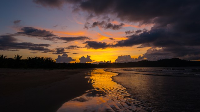 San Vicente Long Beach