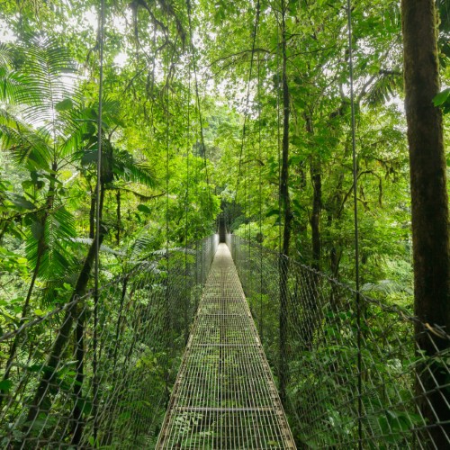 Riserva Biologica di Monteverde | Viaggiare in Costa Rica