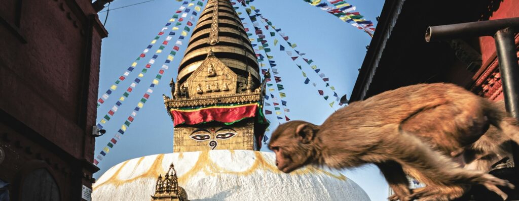 Cosa non perdersi in Nepal