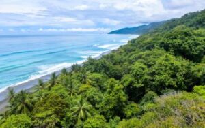 Foresta nel Parco Nazionale Corcovado | Viaggiare in Costa Rica