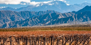 Vigneti di Mendoza | Viaggiare in Argentina