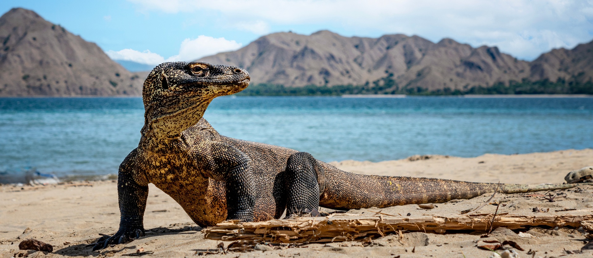 Viaggio di Nozze Bali e Komodo