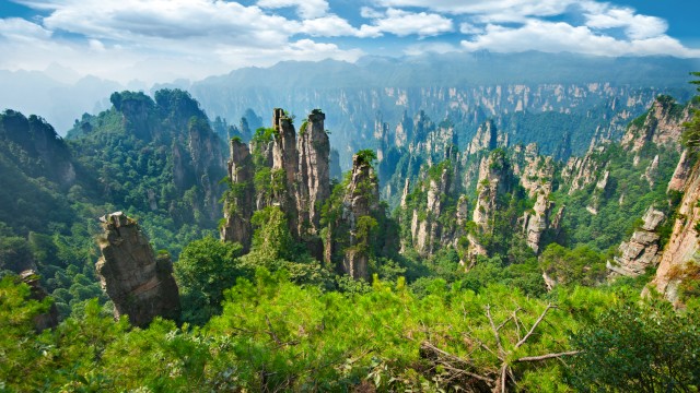Parco Nazionale Forestale di Zhangjiajie, Yuanjiajiè | Tour della Cina Centrale