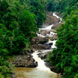 Ranomafana National Park