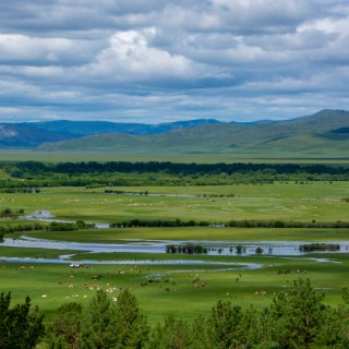 Khentii