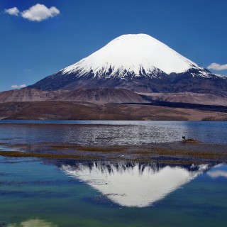 Parco Nazionale di Lauca