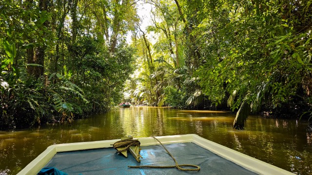 Canal tour nel Tortuguero National Park | Vacanza in Costa Rica