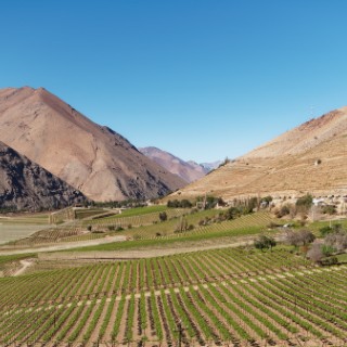 Valle del Elqui