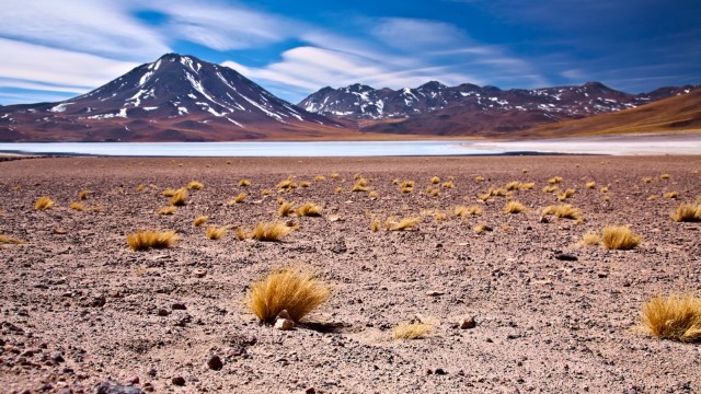 Laguna Miscanti nel Deserto di Atacama | Viaggio Isola di Pasqua