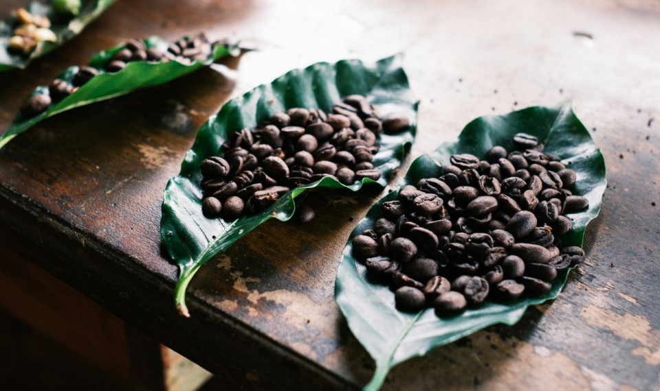 Il caffè del Costa Rica | 11 fatti del Costa Rica