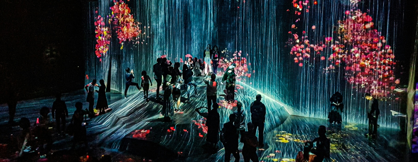MORI Building DIGITAL ART MUSEUM: teamLab Borderless