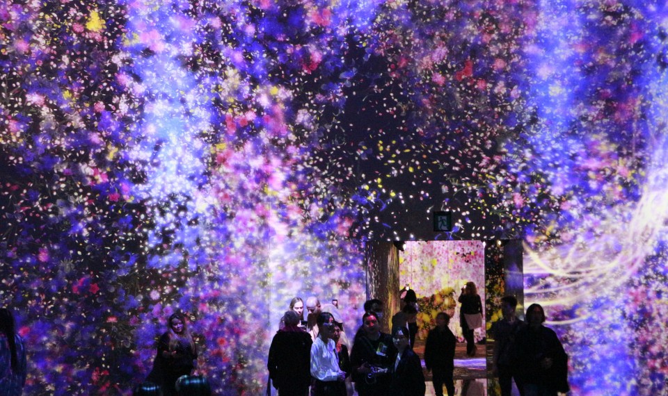 MORI Building DIGITAL ART MUSEUM: teamLab Borderless