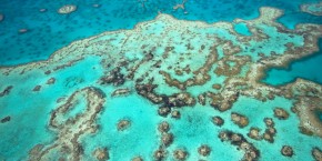 Grande Barriera Corallina | Viaggiare in Australia